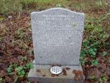 image of grave number 358324